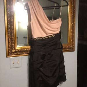 🐾 Express dress NWT